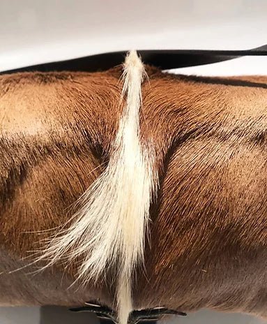 2000S Fendi Buffalo Fur Mama Baguette Shoulder Bag - STYLE-CHNGR